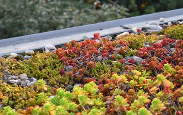 the cost of Oath green roof installation